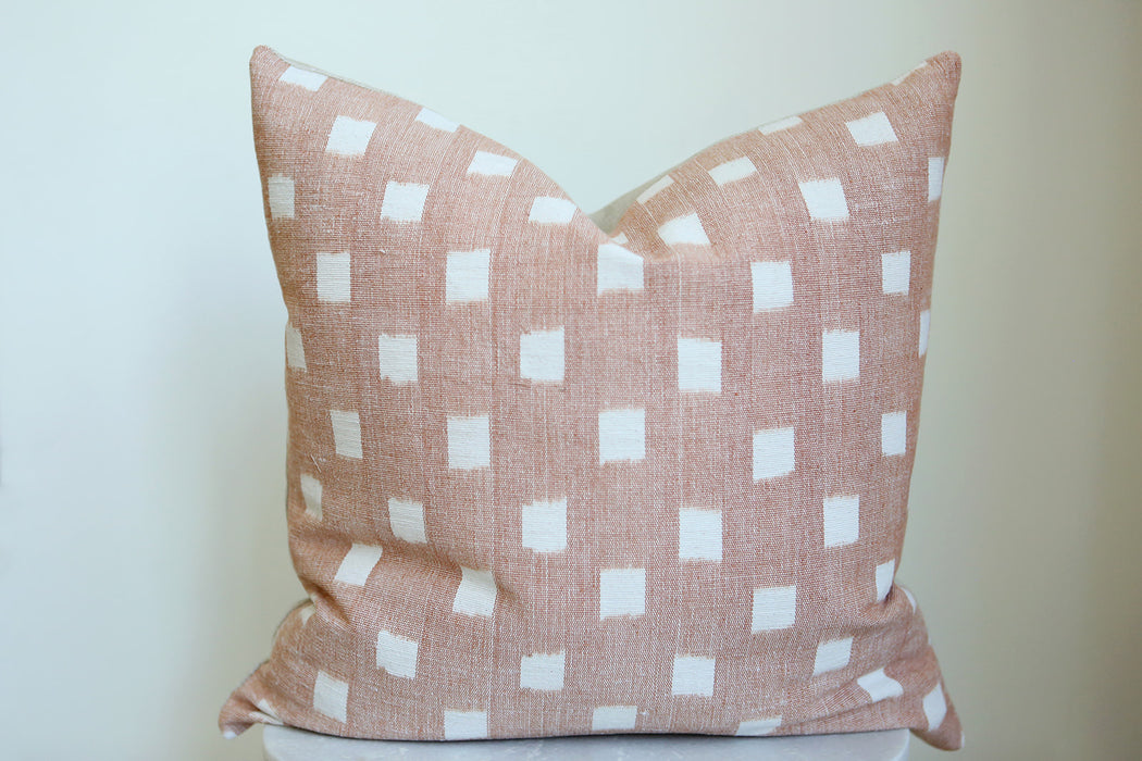 Rex in Blush